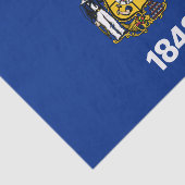 Vlag van de staat Wisconsin Tissuepapier (Detail)