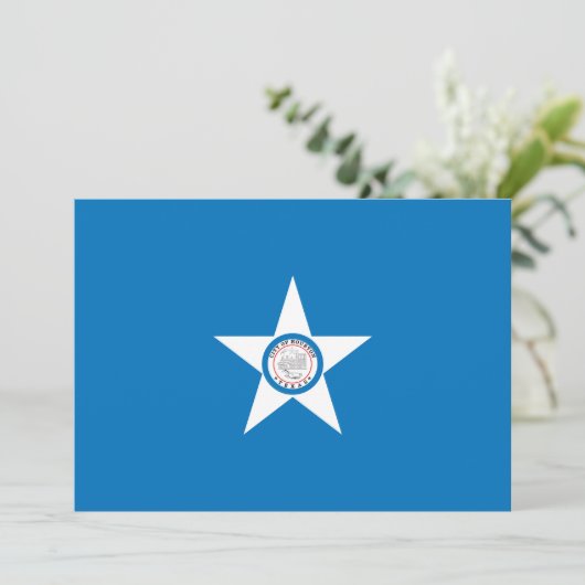 vlag van de stad Houston (Staand voorkant)