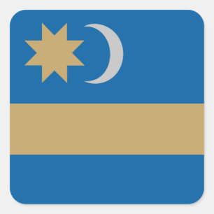 Vlag van de Sticker van de Székely Land Classic Ro