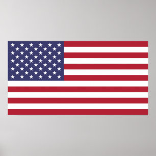 Vlag van de Verenigde Staten van Amerika (klein Po Poster
