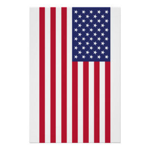 Vlag van de Verenigde Staten van Amerika Perfect Poster