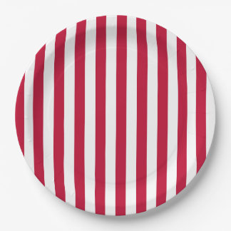 Vlag van de VS Thema Rode en Witte Strepen Patroon Papieren Bordje