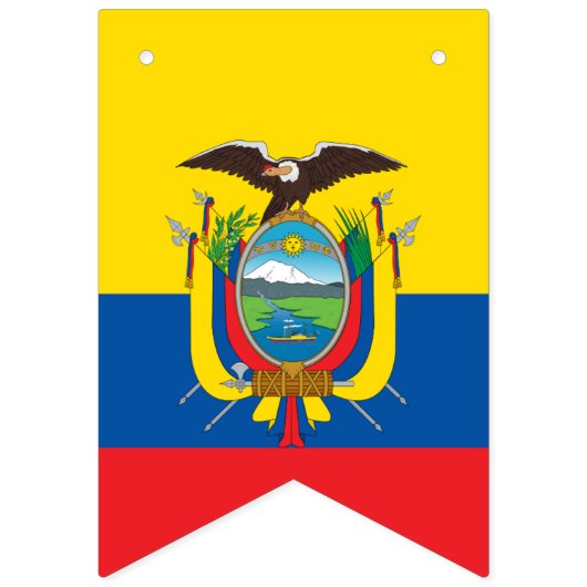 Vlag van Ecuador Vlaggetjes (Tweede vlag)