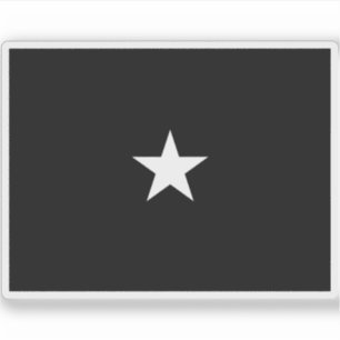 Vlag van een brigadegeneraal van de Amerikaanse Sp Sticker