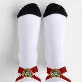 Vlag van Florida Sokken (Top)
