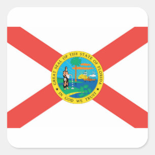 Vlag van Florida Vierkante Sticker