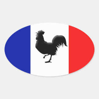 Vlag van Frankrijk Ovale Sticker
