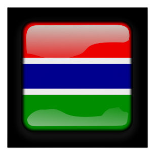 Vlag van Gambia Perfect Poster