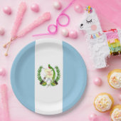 Vlag van Guatemala Papieren Bordje (Feest)