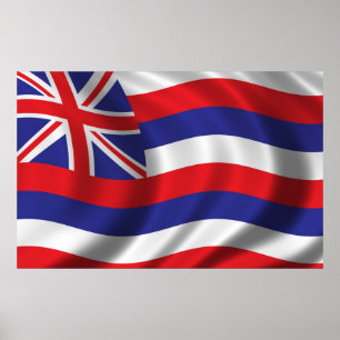 Vlag van Hawaii Poster