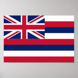 vlag van Hawaii Poster