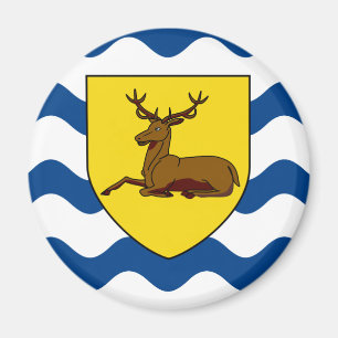 Vlag van Hertfordshire Magneet