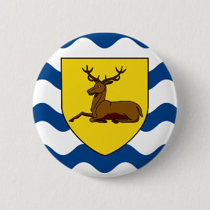 Vlag van Hertfordshire Pinback Button