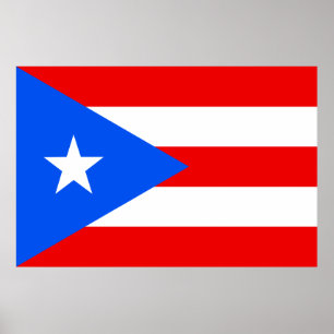 Vlag van het Poster Puerto Rico