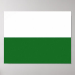 Vlag van het Poster Saksen