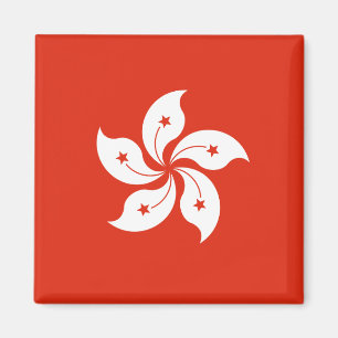 Vlag van Hong Kong-magneet Magneet