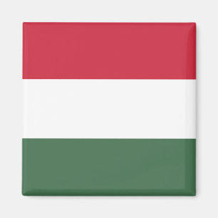 Vlag van Hongarije Magneet