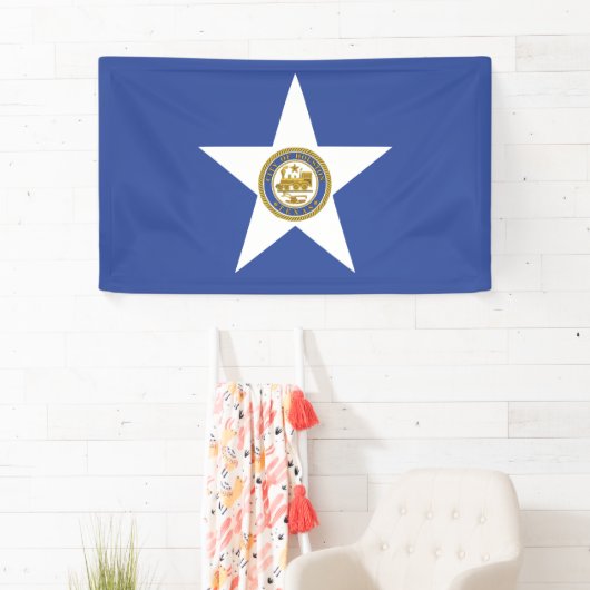 Vlag van Houston (Texas) Spandoek (Insitu)