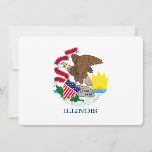 Vlag van Illinois State Design