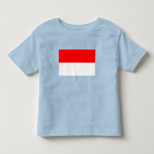 Vlag van Indonesië Kinder Shirts
