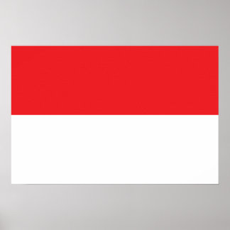 vlag van Indonesië Poster