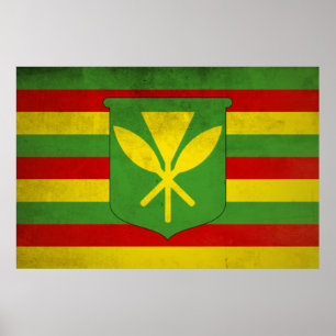 Vlag van inheemse Hawaiianen Poster