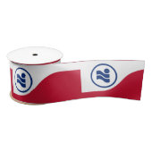 Vlag van Irving, Texas Lint (Spoel)