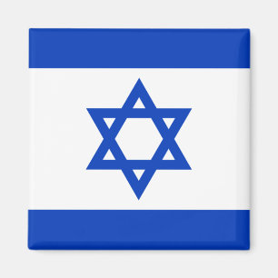 Vlag van Israël Magneet