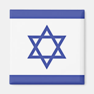 Vlag van Israël Magneet