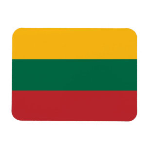 Vlag van Litouwen Magneet