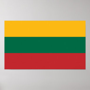Vlag van Litouwen Poster