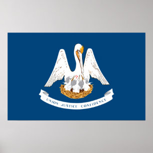 Vlag van Louisiana Poster