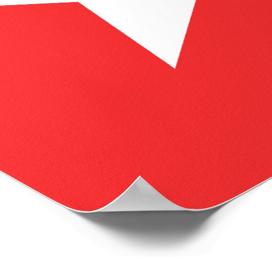 Vlag van Maastricht Poster (Hoek)