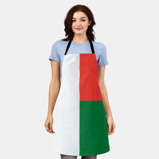 Vlag van Madagaskar Schort (Gedragen)