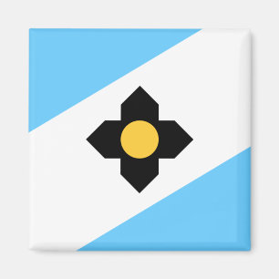 Vlag van Madison, Wisconsin Magneet