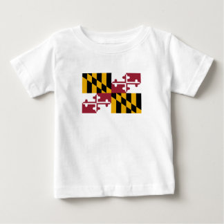 Vlag van Maryland