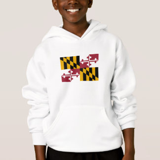 Vlag van Maryland
