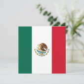 Vlag van Mexico Kaart (Staand voorkant)