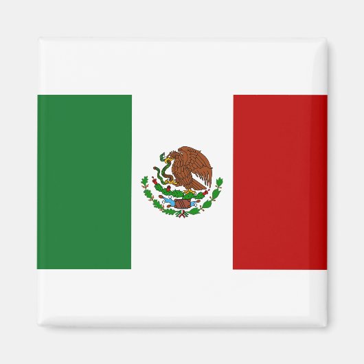 Vlag van Mexico Magneet (Voorkant)