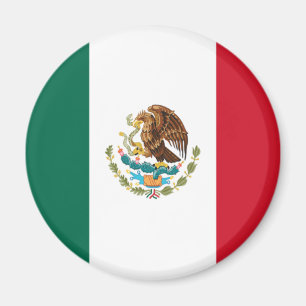 Vlag van Mexico Magneet