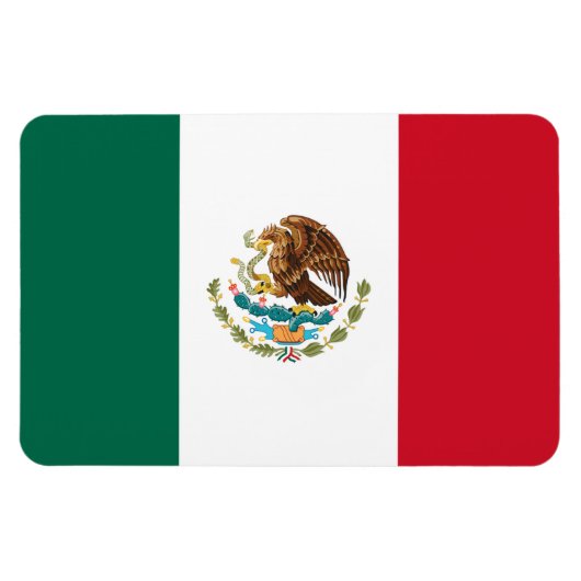 Vlag van Mexico Magnet Magneet (Horizontaal)
