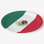Vlag van Mexico Papieren Bordje (Gekanteld)