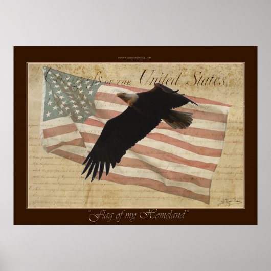 VLAG VAN MIJN HOMELAND ~Bald Eagle US Flag Poster (Voorkant)