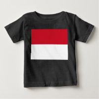 Vlag van Monaco