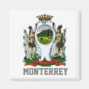 Vlag van Monterrey, Nuevo León - MEXICO Magneet