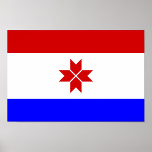 Vlag van Mordovië Poster