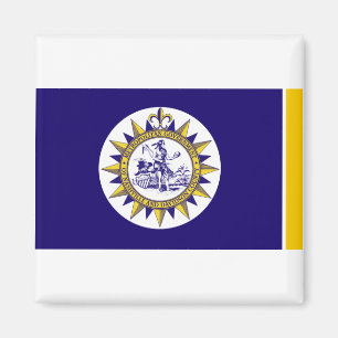 Vlag van Nashville, Tennessee Magnet Magneet
