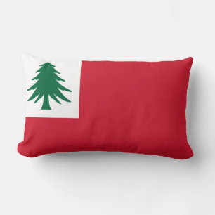 Vlag van New England Kussen