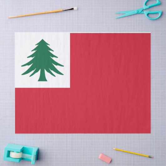 Vlag van New England Tissuepapier (Craft)