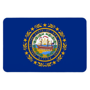 vlag van New Hampshire Magneet